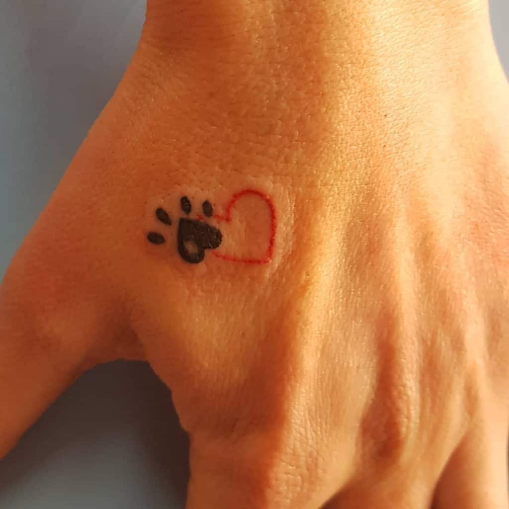 Cat Paw Print Tattoo KeepingDog