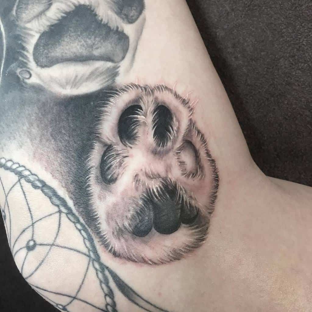 Cat Paw Print Tattoo KeepingDog