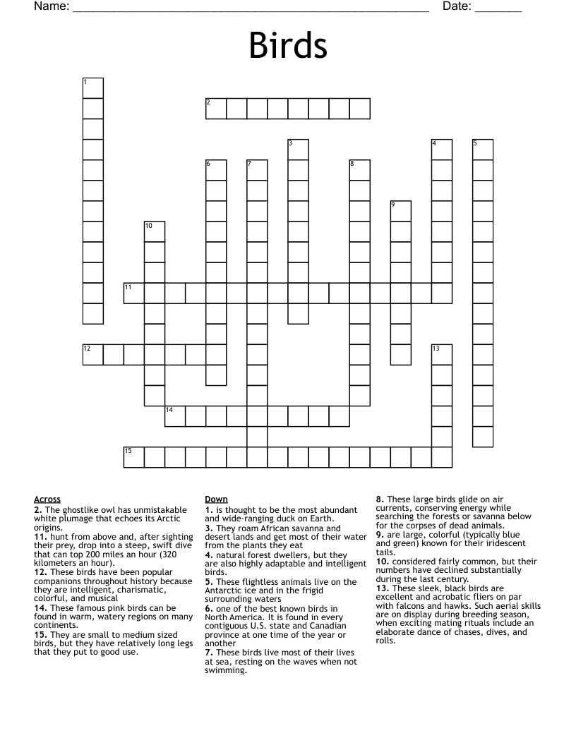 Arctic Bird Crossword