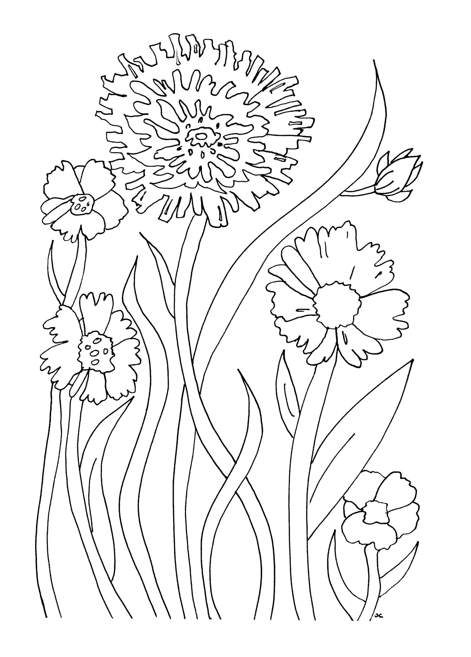 Beautiful Flowers To Color Flower Coloring Pages For Kids
