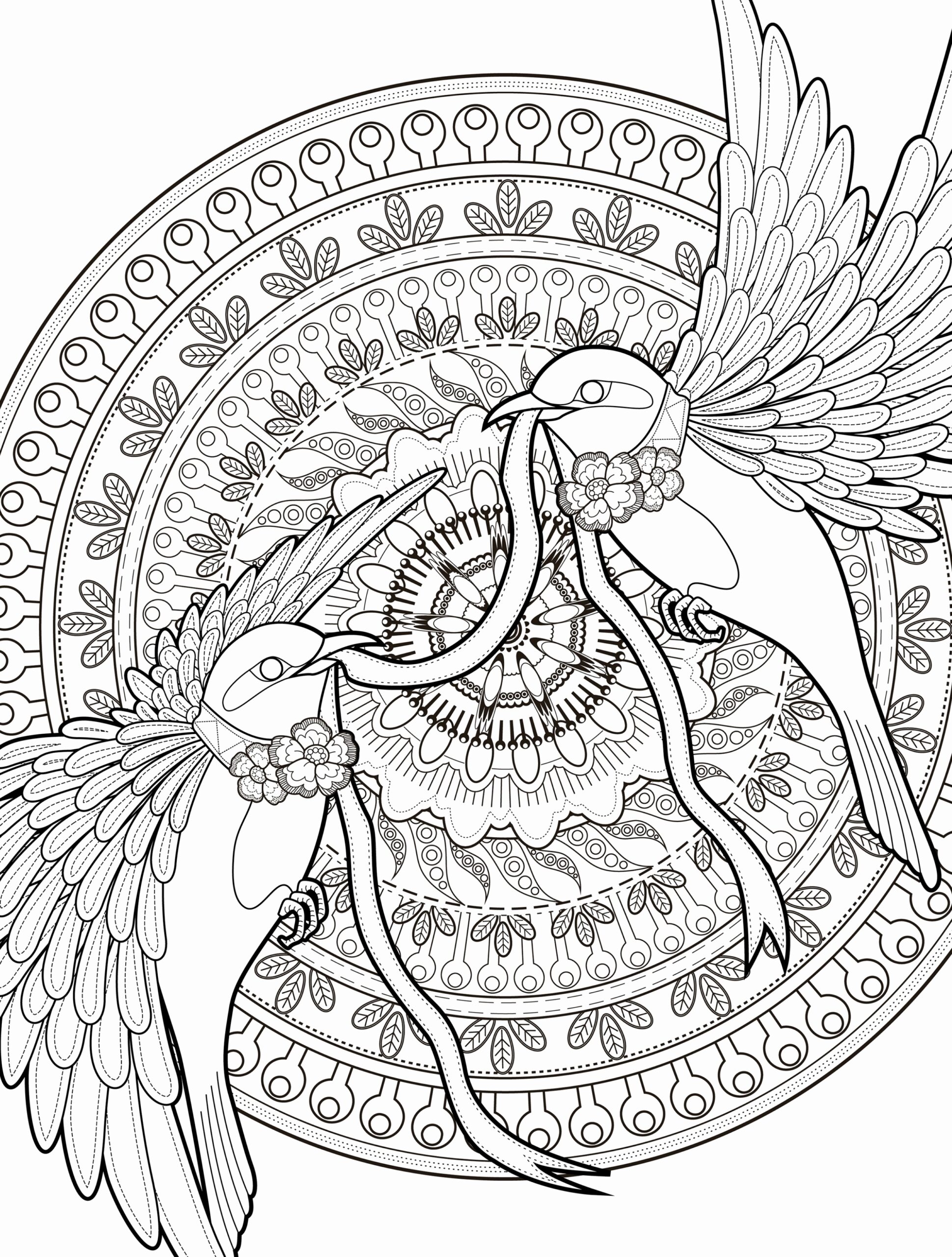 Free Printable Coloring Pages Pdf