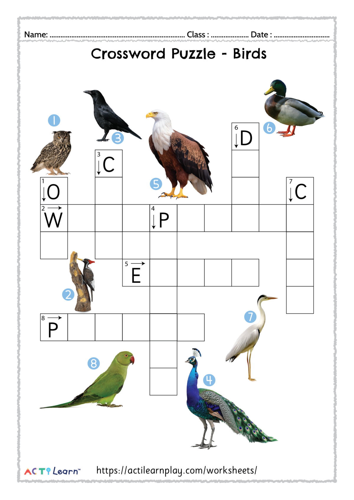 Free Birds Crossword Puzzle Download Fun Learning Activity