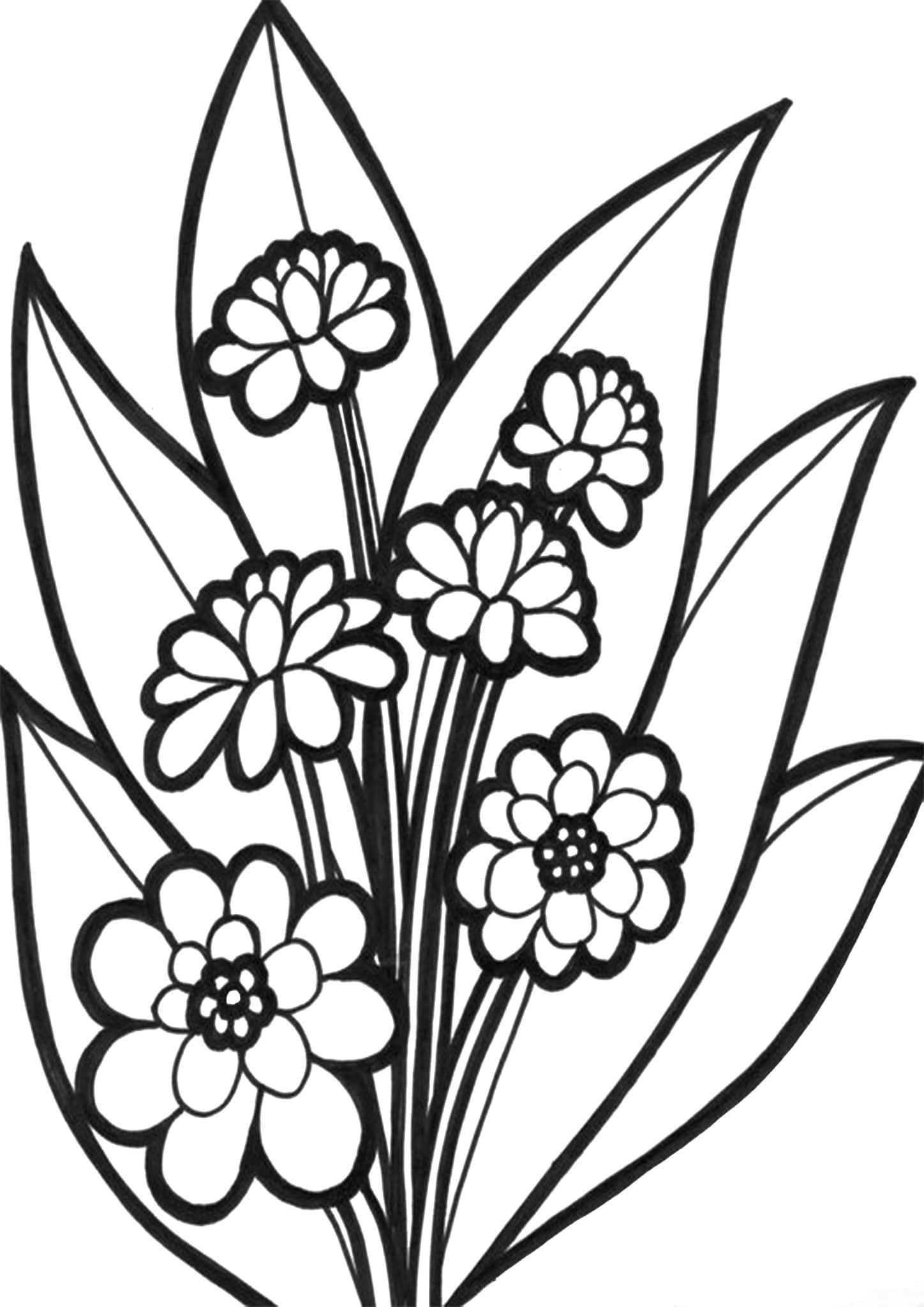 Free Easy To Print Flower Coloring Pages Tulamama