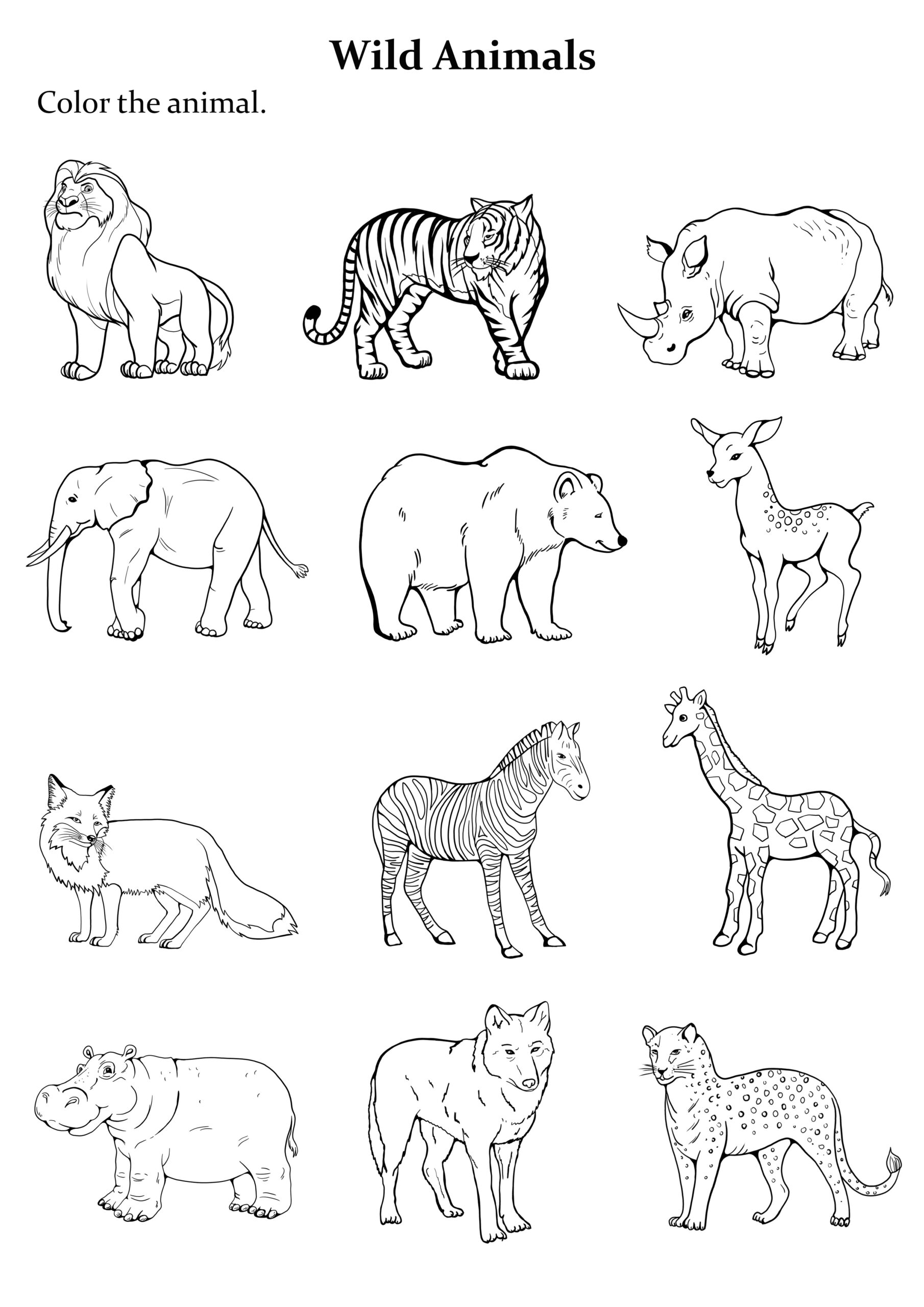 Coloring Pages For Kids Animals