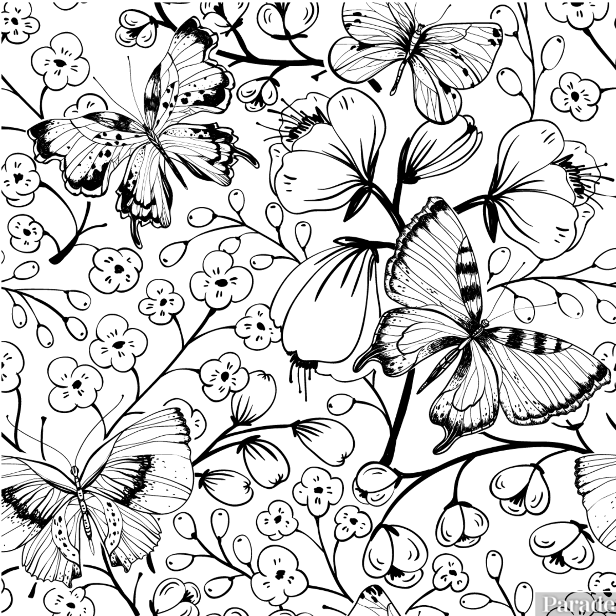 25 Free Printable Butterfly Coloring Pages Parade