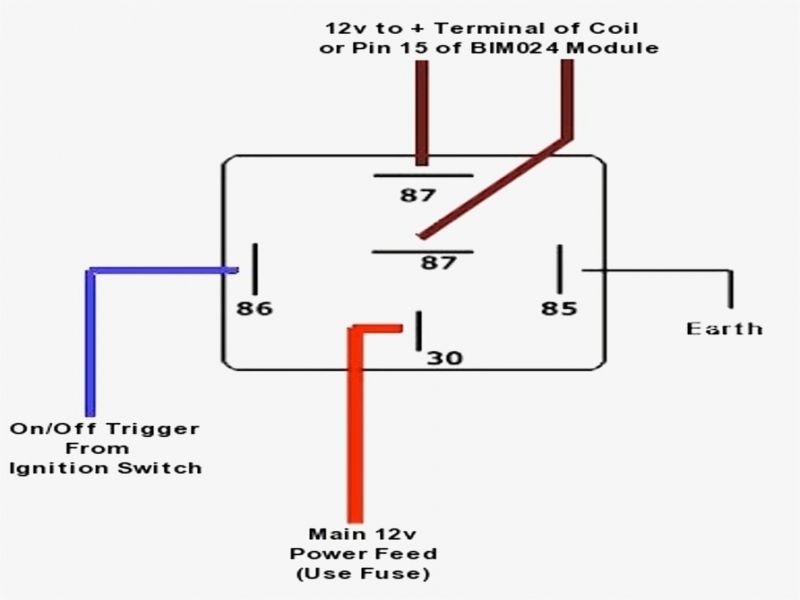 30 Pin Wiring Diagram