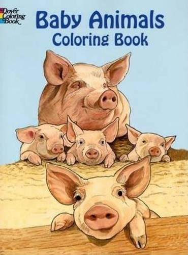 Animal Coloring Books Animal Coloring Books