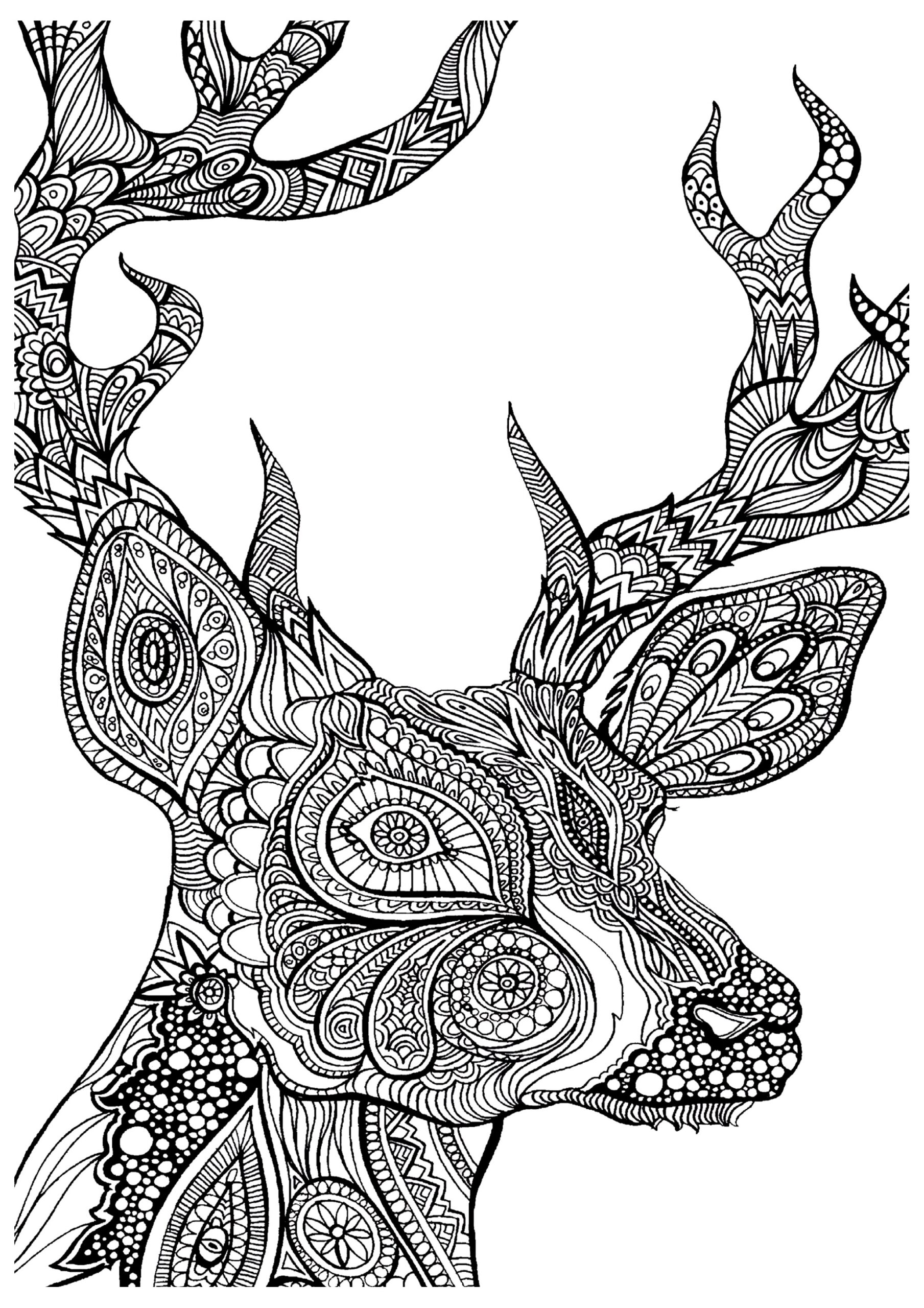 Coloring Pages Zentangle Free Download On ClipArtMag