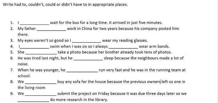 Could Couldn 39 t Had To Didn 39 t Have To Worksheet