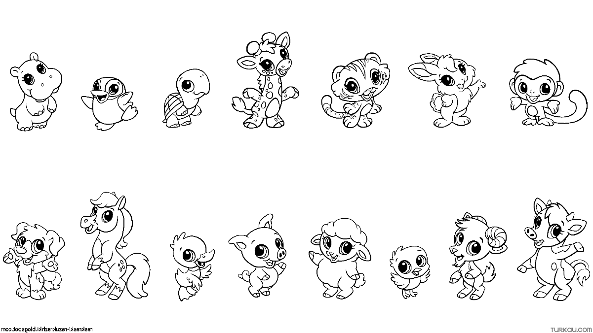 Cute Animals Coloring Pages Turkau