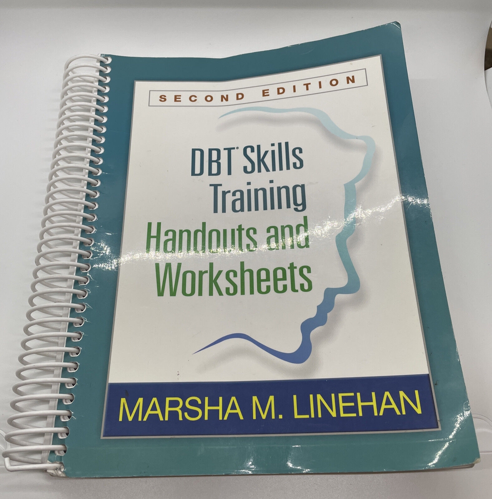 DBT Skills Training Handouts And Worksheets Second Edition 
