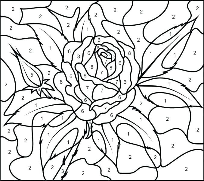 Difficult Color By Number Coloring Pages For Adults At GetDrawings 