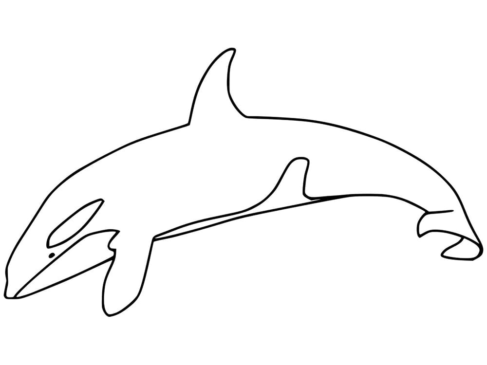 Easy Killer Whale Coloring Page Free Printable Coloring Pages For Kids