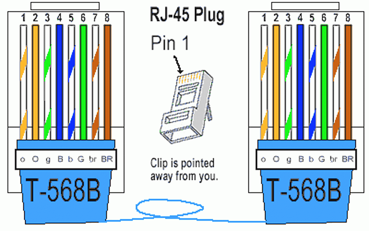 Ethernet Cable Wiring Order