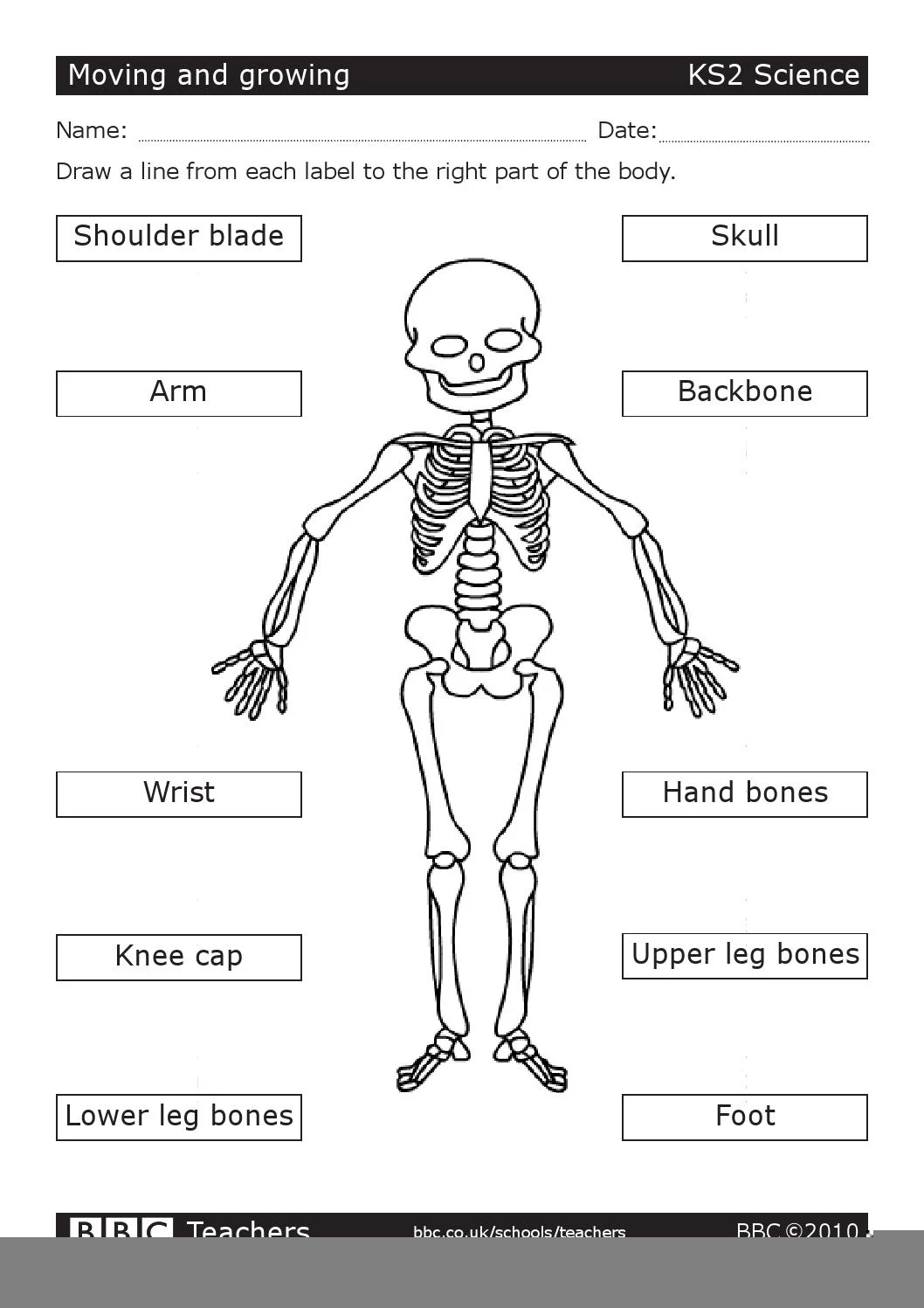 Free Grade 5 Science Worksheets Printable Scienceworksheets
