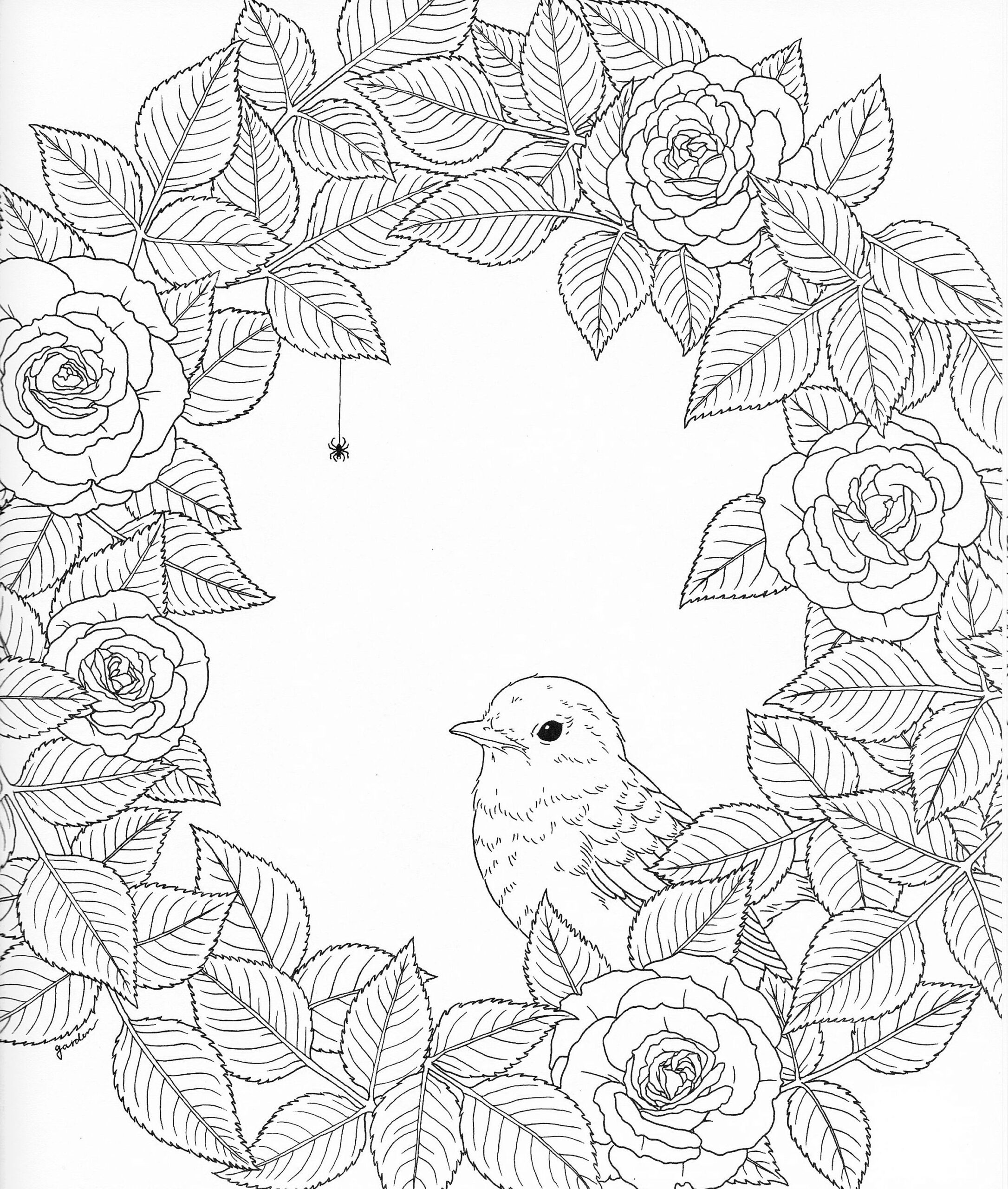 Harmony Of Colour Colouring Pages Mamorphia