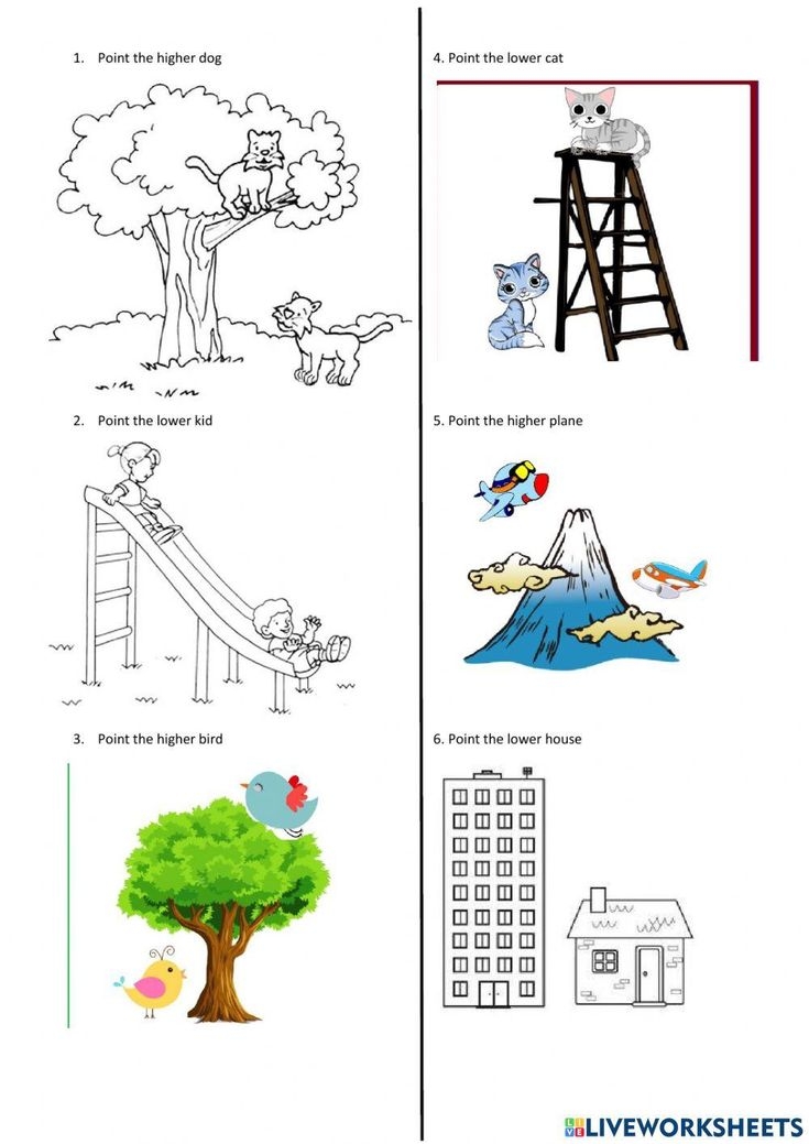 High low Concepts For Kindergarteners Worksheet Kindergarten