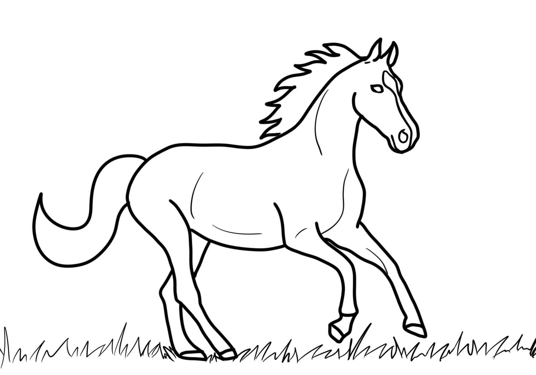 Horse Colouring In Sheet Kids Colouring Sheet Colour In Horse Classroom 