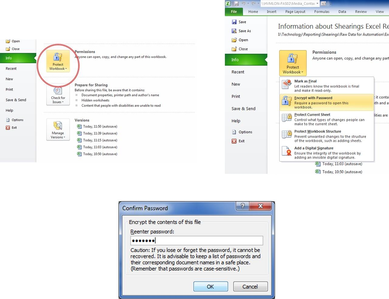 How To Protect Cell Data In Excel 2010 Dummies Worksheets Library