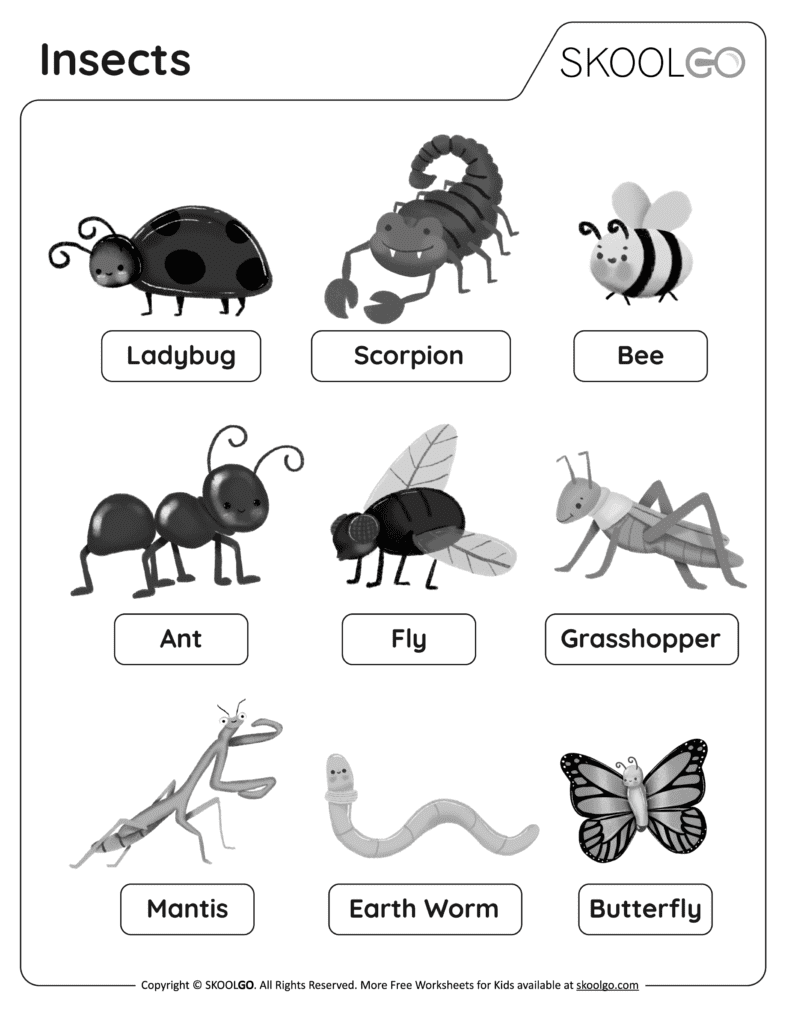 Insects Free Worksheet SKOOLGO