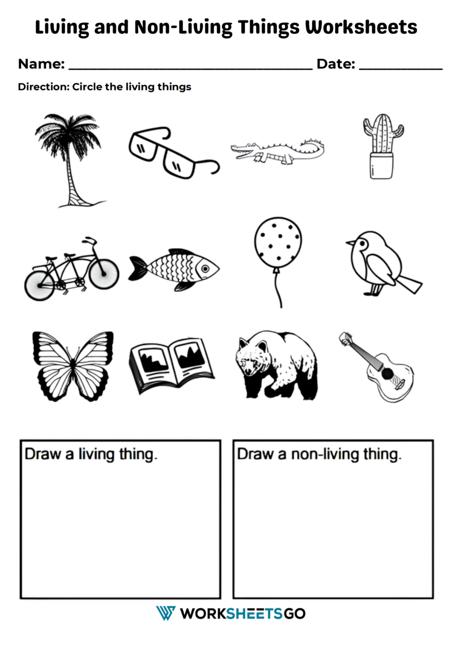 Living And Non Living Things 6 Worksheet Zone Coronaforo