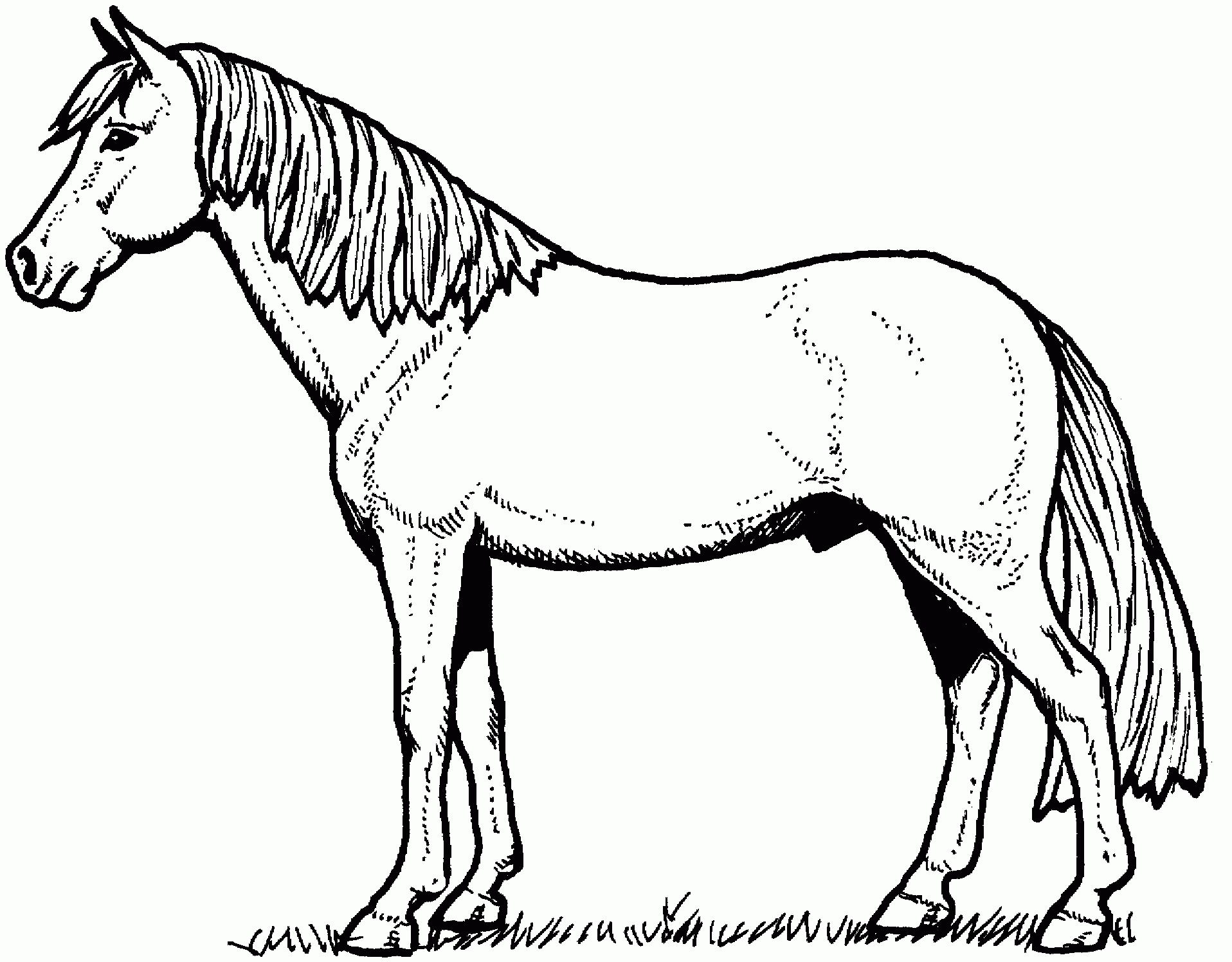 Pony Coloring Pages Best Coloring Pages For Kids
