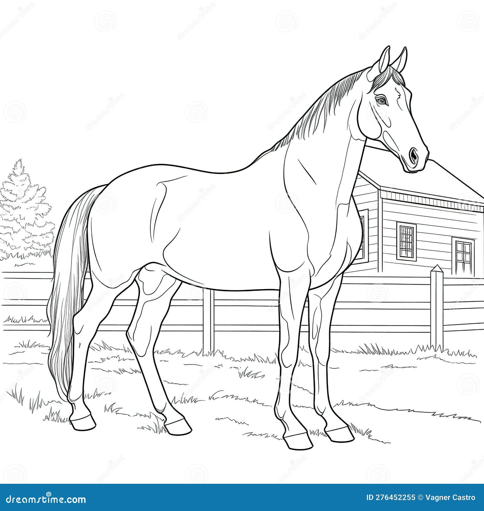 Printable Realistic Horse Coloring Page Horse Coloring 47 OFF