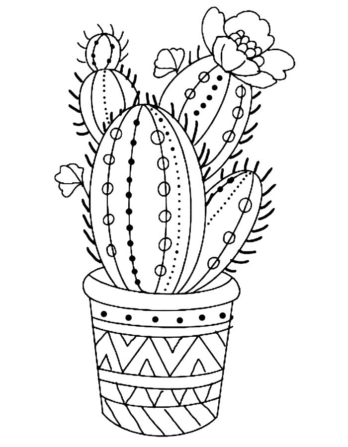 Procreate Coloring Pages Free Printable PDF 