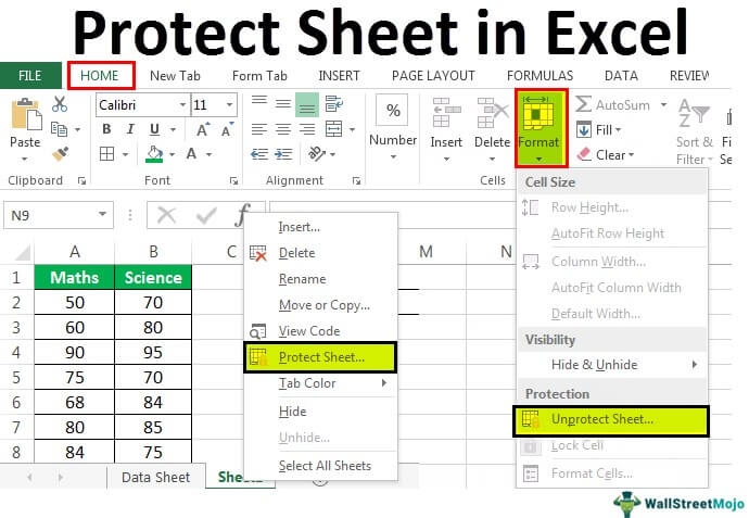Protect Sheet In Excel How To Do Examples Ways Templates 