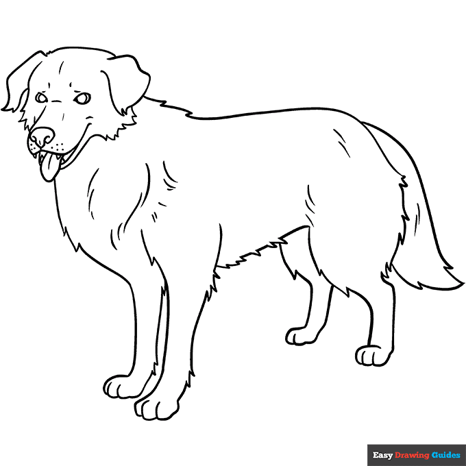 Realistic Dog Coloring Page Easy Drawing Guides