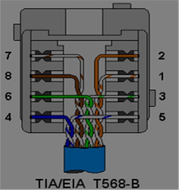 Rj45 Connector Wiring Diagram Light Switch Wiring Diagram