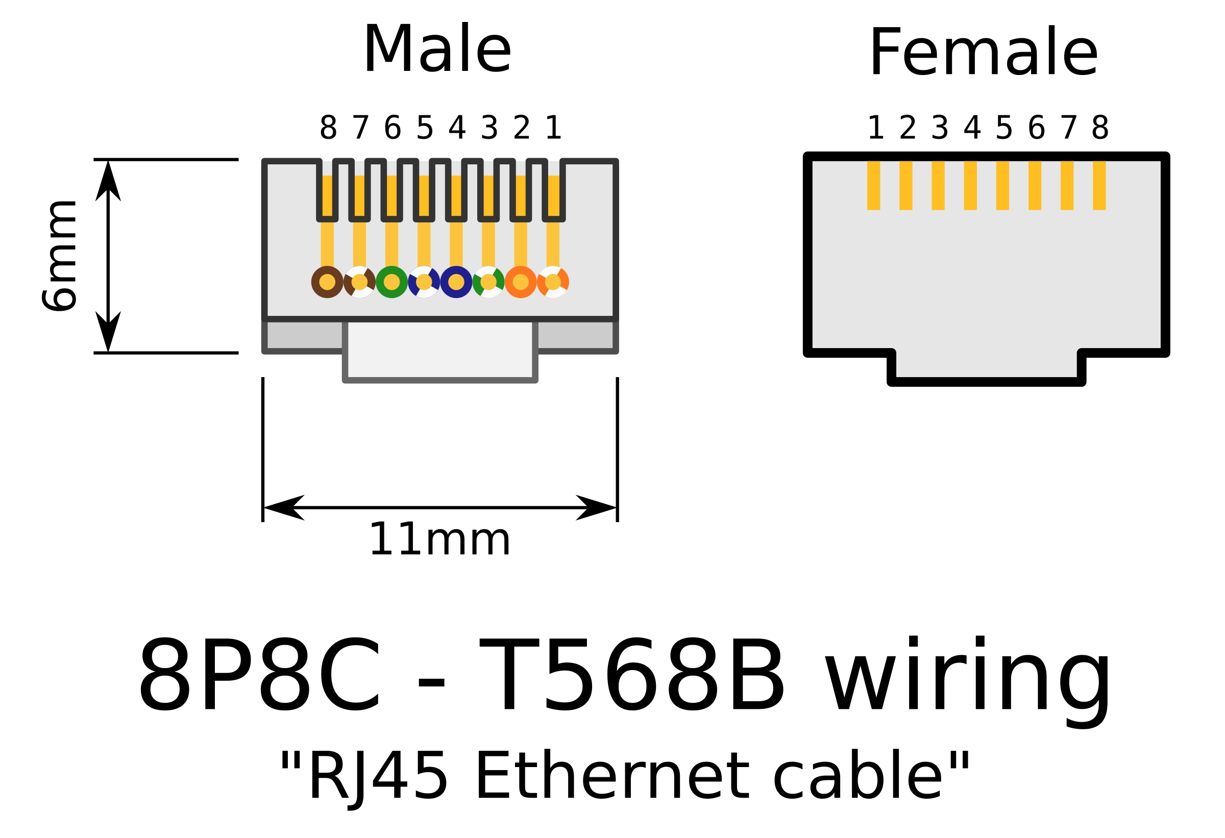 RJ45 Female Connector Wiring Diagram