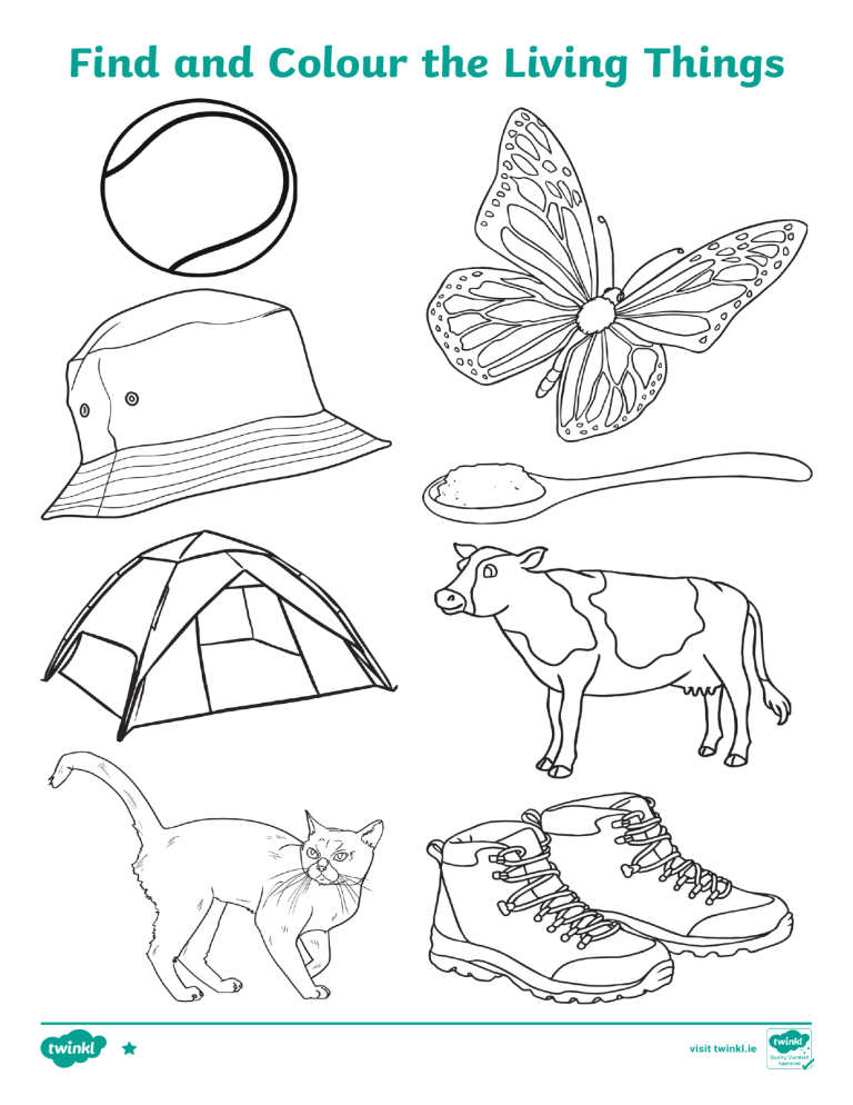 Science Living Things And Non Living Things Worksheet 2 47 OFF