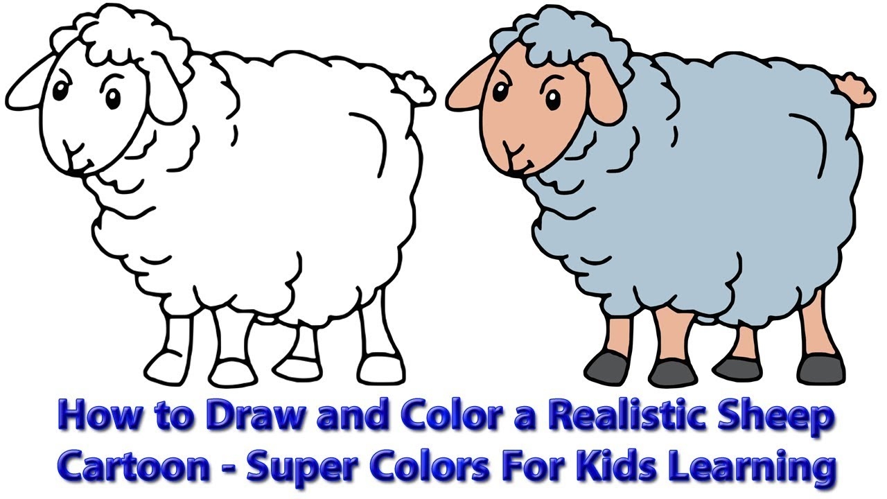 Sheep Drawing Easy With Colour