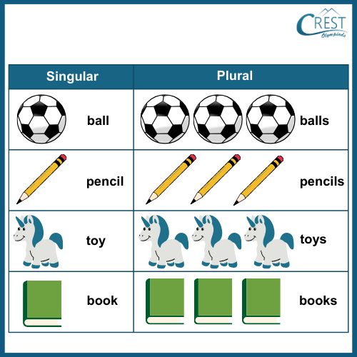 Singular Plural Class 1 English Grammar Guide