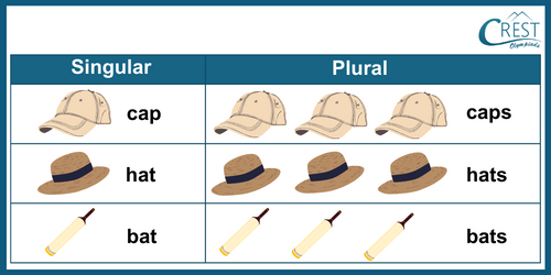Singular Plural Class 1 English Grammar Guide