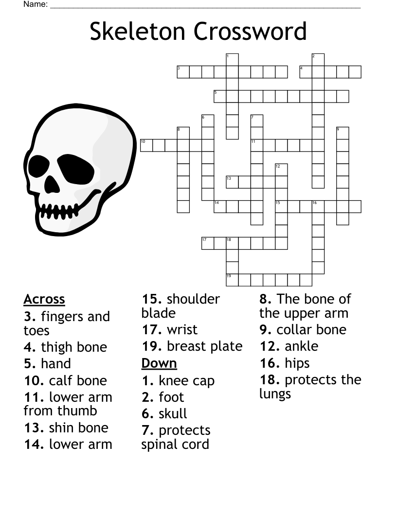 Skeleton System Crossword WordMint
