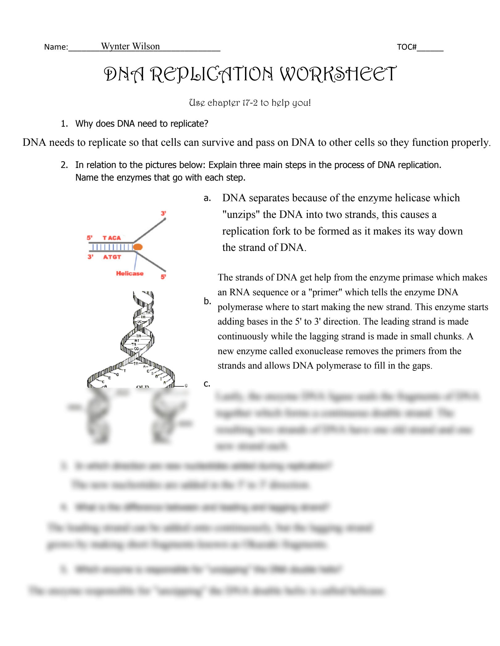 SOLUTION Kami Export Wynter Wilson Dna Replication Worksheet Gp13 