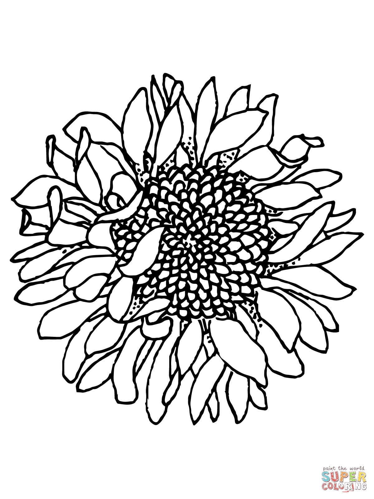 Sunflower Coloring Sheet