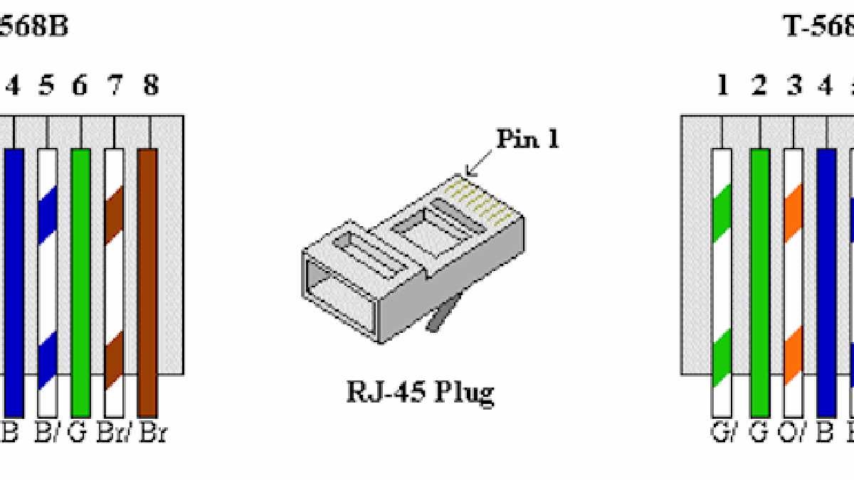 The Ultimate Guide To Understanding Cat5 Connector Wiring Diagrams