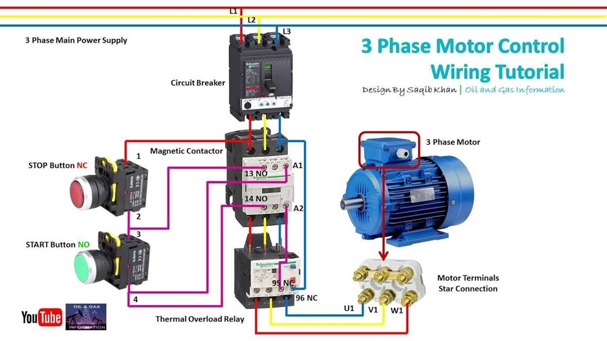 The Ultimate Guide To Understanding Motor Wiring Diagrams For 3 Phase 