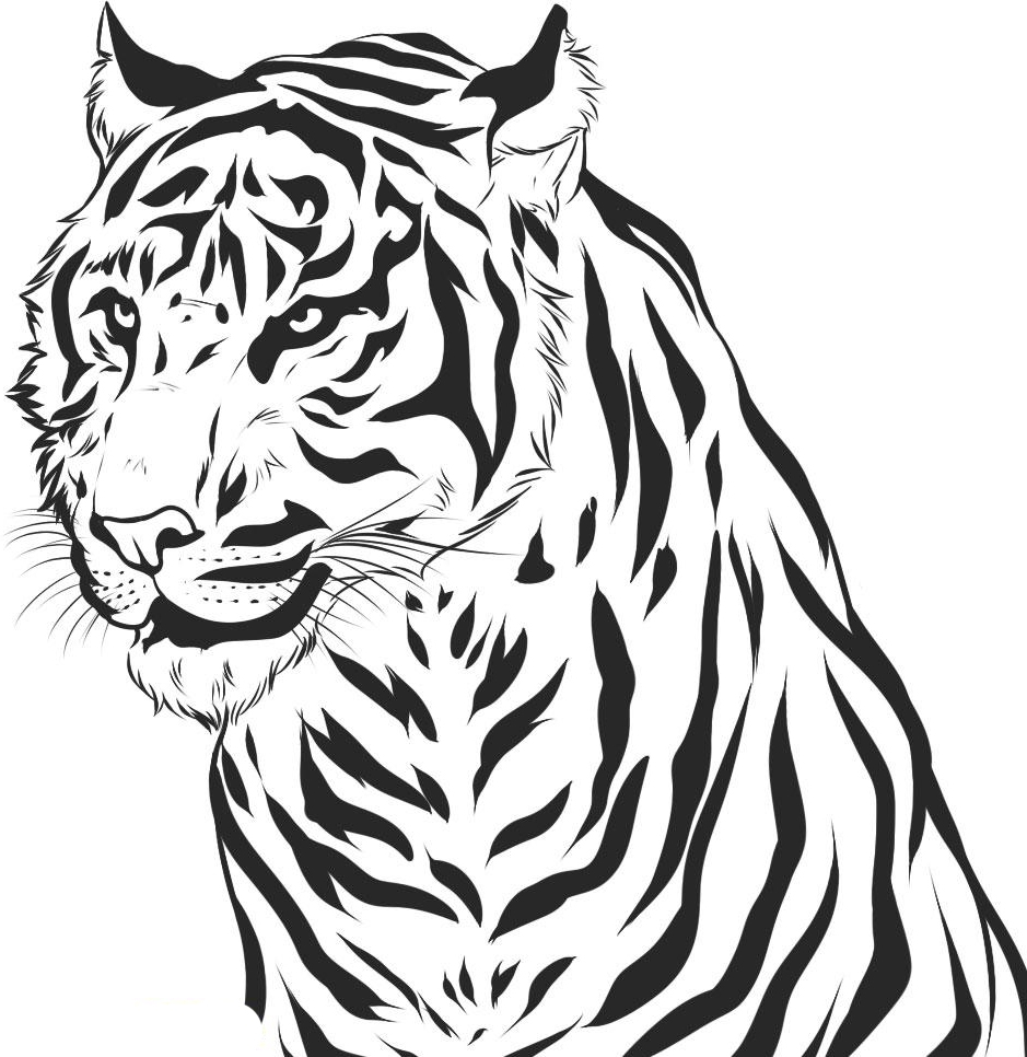 Tiger Coloring Sheet ColoringMe