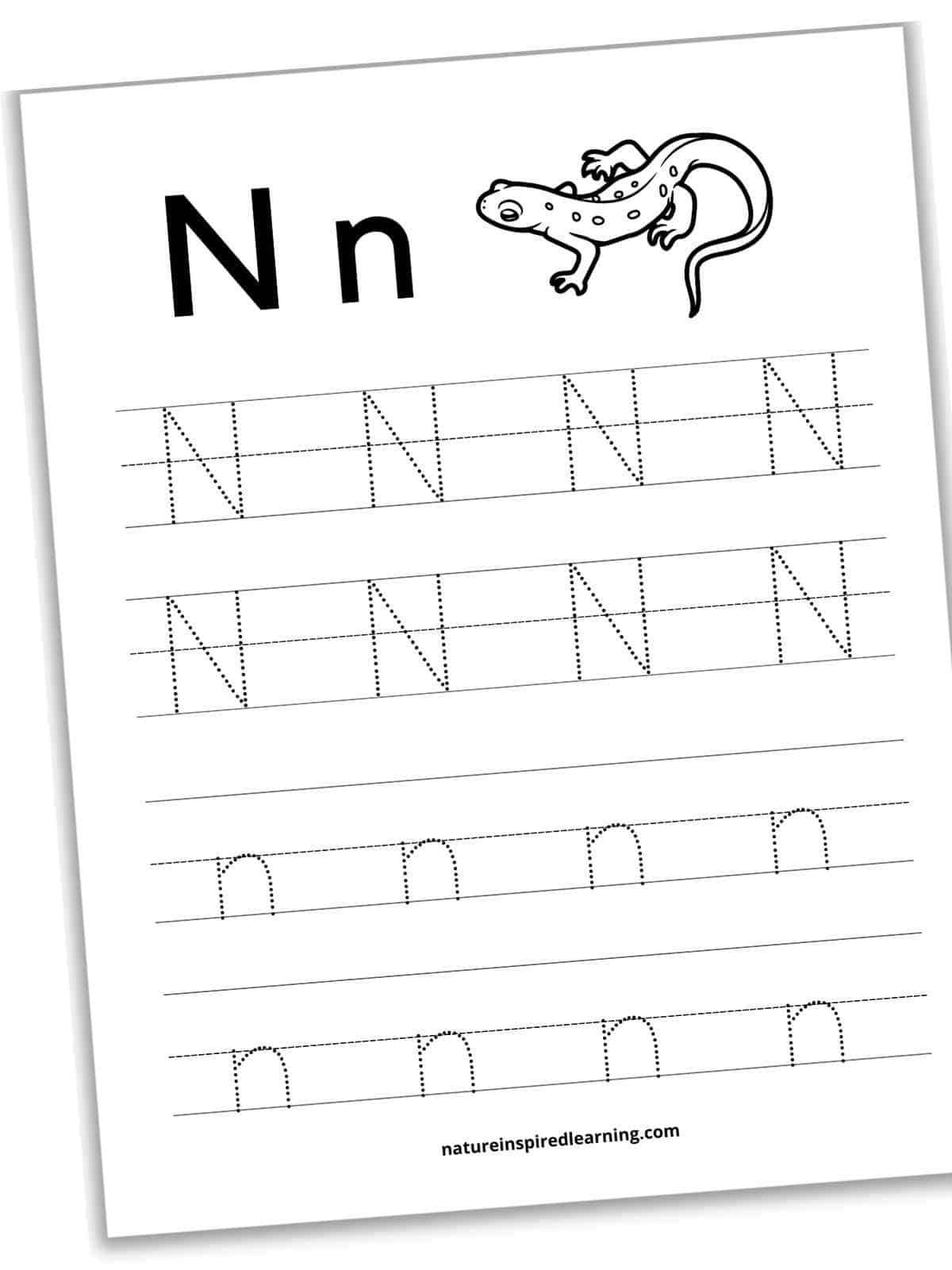 Trace The Letter N Worksheets Infoupdate