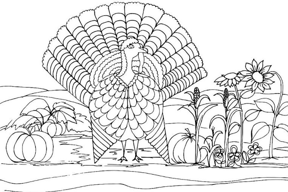 Turkey Coloring Sheet Printable Free Infoupdate