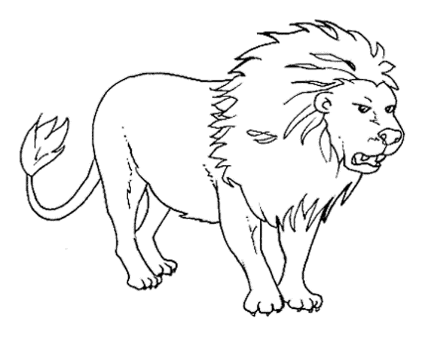 Wild Animal Coloring Pages Coloring Home