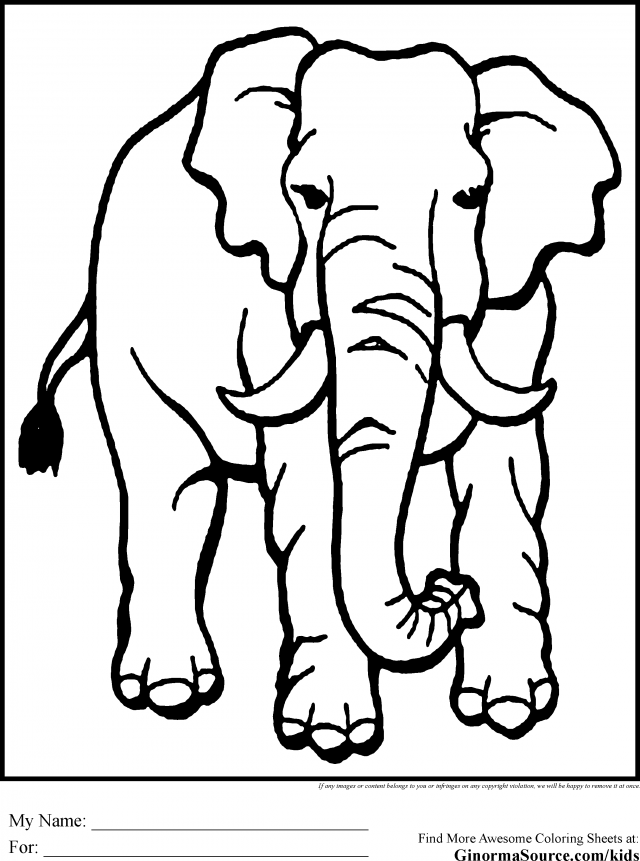 Wild Animal Coloring Pages