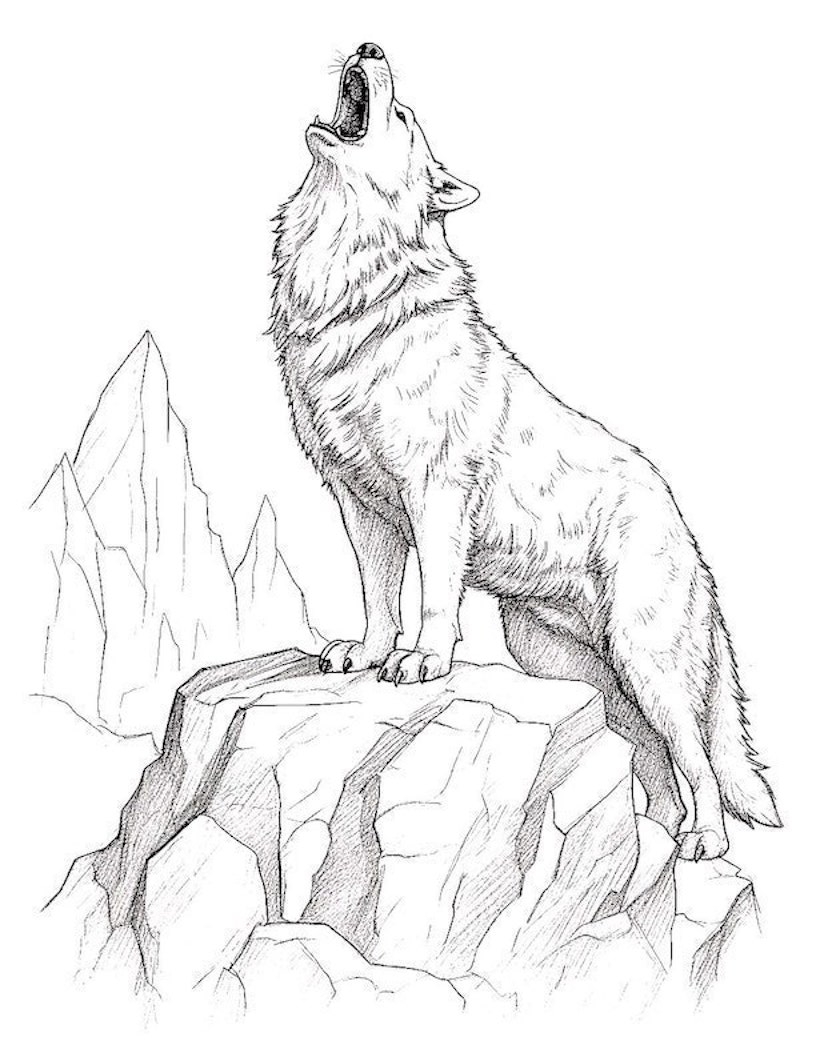 32 Majestic Wolf Coloring Pages For Kids And Adults