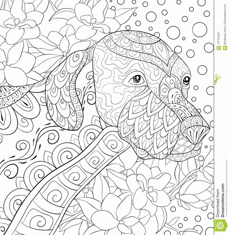 47 Best Ideas For Coloring Relaxation Coloring Pages For Adults