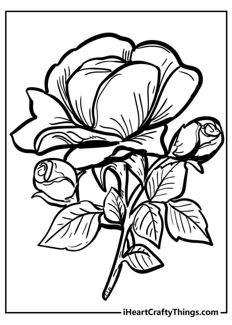 Big Rose Coloring Pages