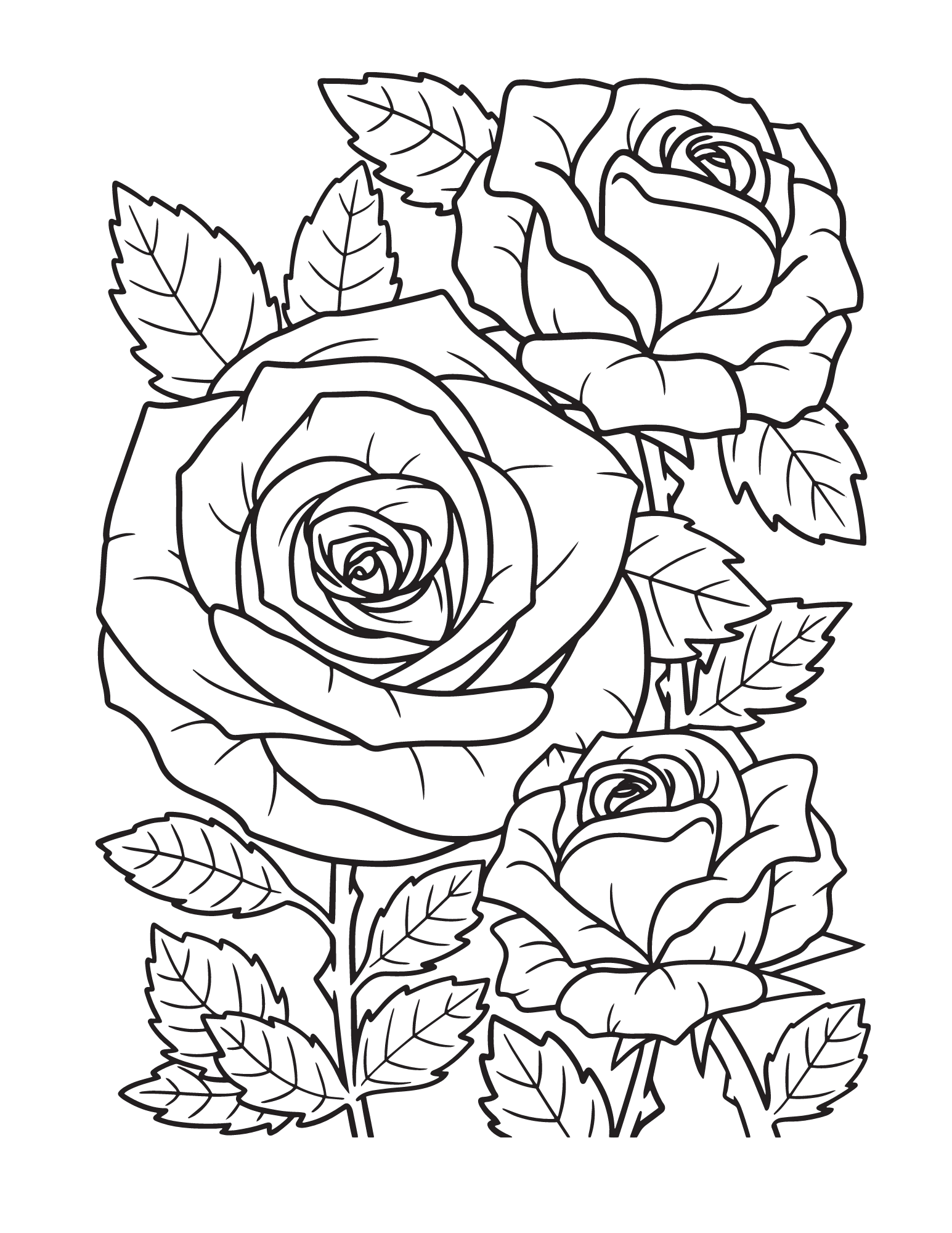 Coloring Pages For Adults Roses